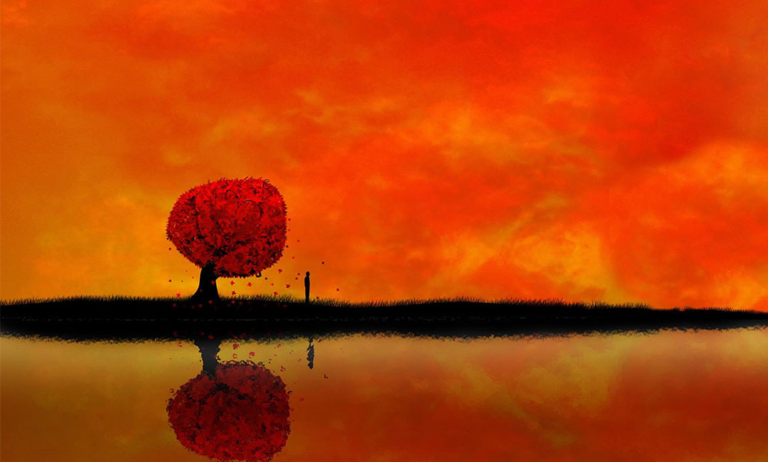 赤峰笙影微信朋友圈转发案例