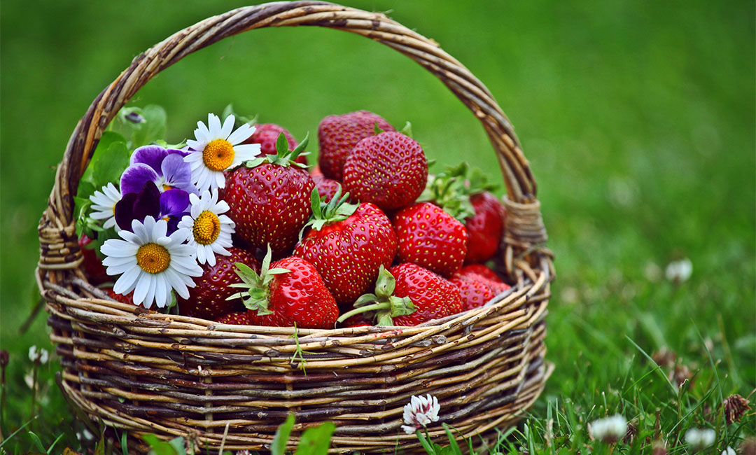 赤峰点呀点水果电商APP开发案例